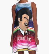 Vicente Fernandez A-Line Dress