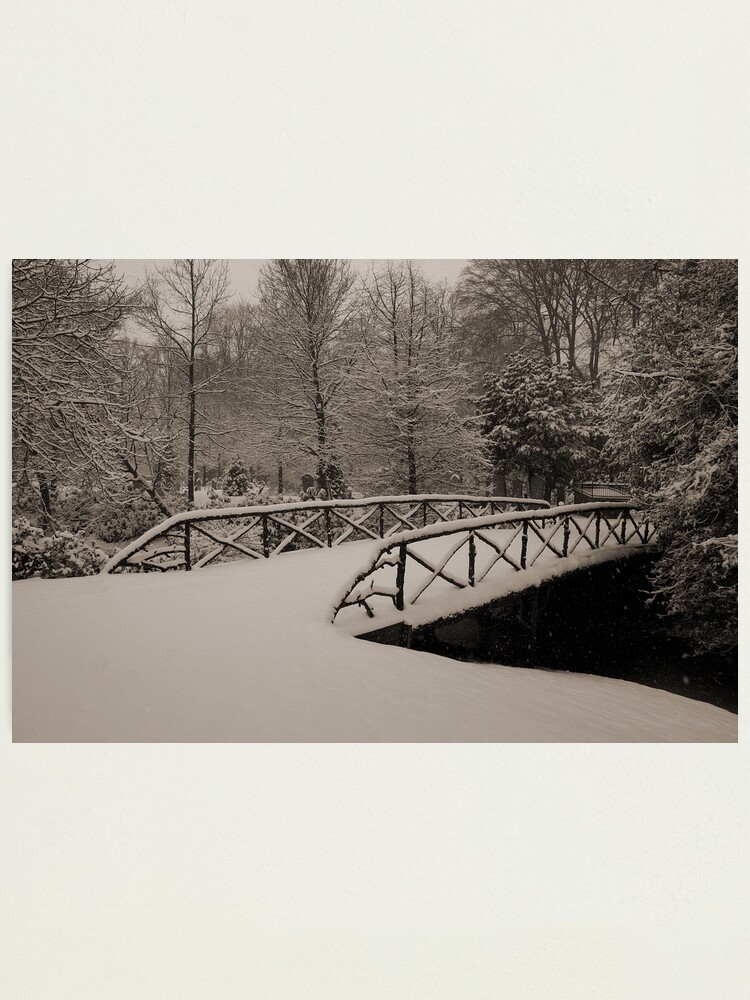 Alternate view of Untouched Photographic Print