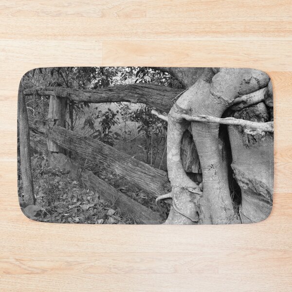 Item preview, STRANGLER FIG, GREAT OUTDOORS designed and sold by Barbara Jean Photo Art And Design.