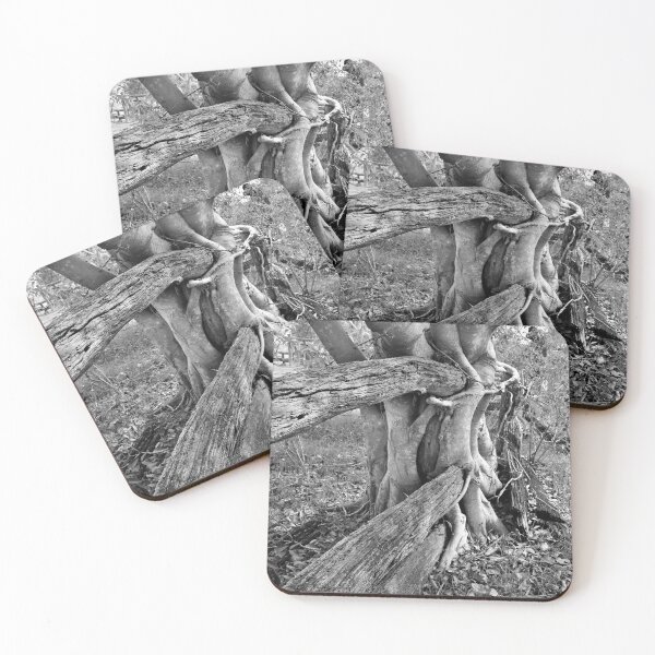 Item preview, STRANGLER FIG,  GREAT CATTLE STATIONS designed and sold by Barbara Jean Photo Art And Design.