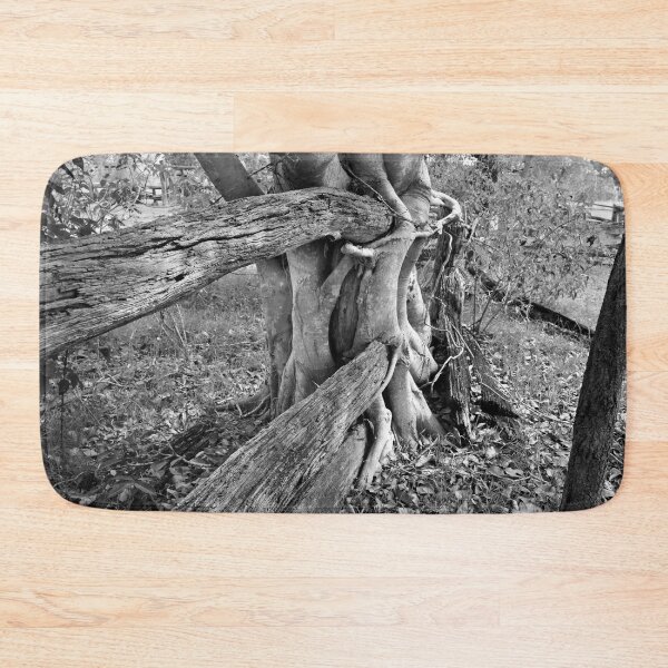 Item preview, STRANGLER FIG,  GREAT CATTLE STATIONS designed and sold by Barbara Jean Photo Art And Design.