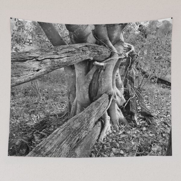 Item preview, STRANGLER FIG,  GREAT CATTLE STATIONS designed and sold by Barbara Jean Photo Art And Design.