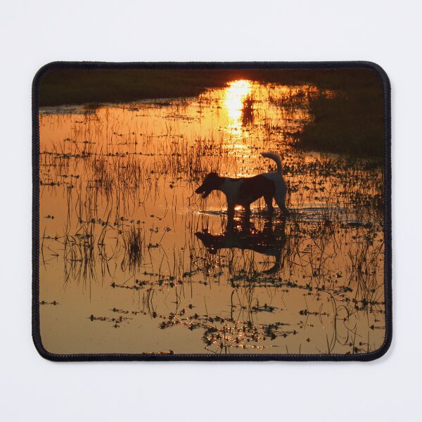 Item preview, A WARM SUMMER EVENING, DOG GOING FOR A PADDLE, designed and sold by Barbara Jean Photo Art And Design.