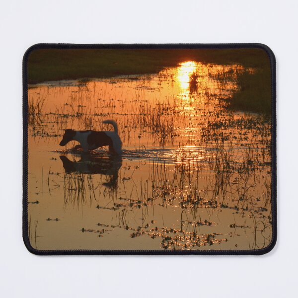 Item preview, FARM DOG, ENJOYING A PADDLE AFTER A HOT DAY, designed and sold by Barbara Jean Photo Art And Design.