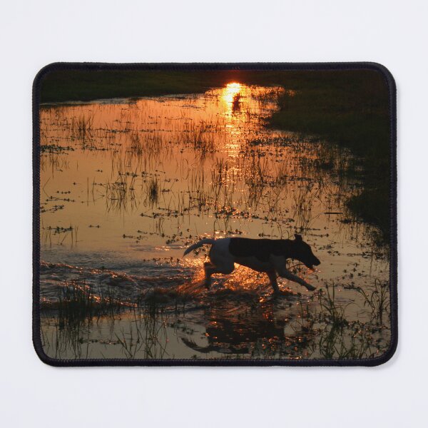 Item preview, FOX TERRIER, ENJOYING THE WATER, FUN TIMES designed and sold by Barbara Jean Photo Art And Design.