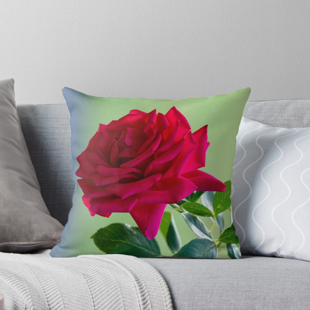 Item preview, Throw Pillow designed and sold by moregoodart.