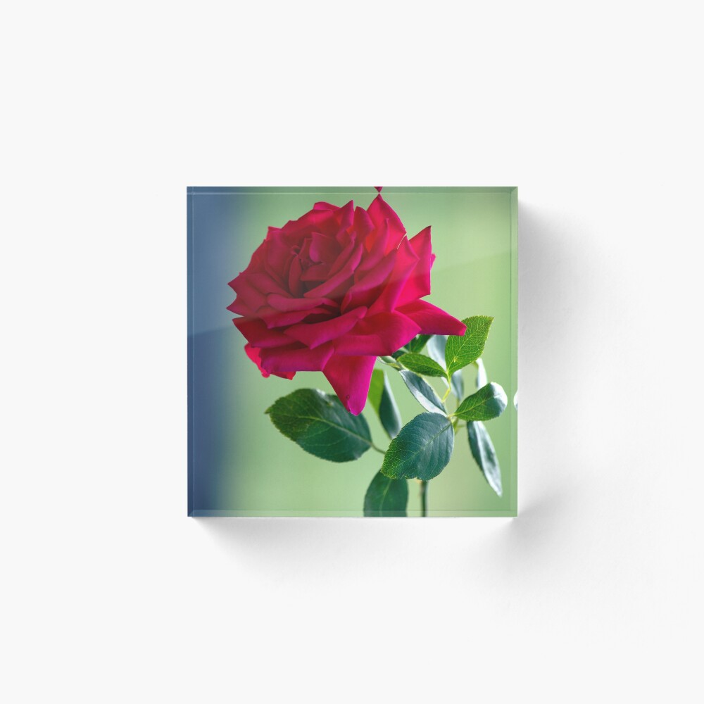 Item preview, Acrylic Block designed and sold by moregoodart.