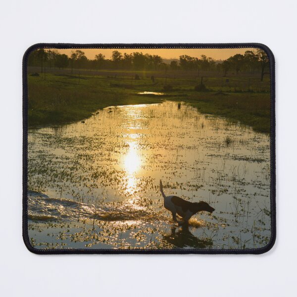Item preview, FOX TERRIER, ENJOYING THE WATER, FUN TIMES designed and sold by Barbara Jean Photo Art And Design.