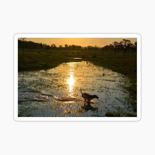 Item preview, FOX TERRIER, ENJOYING THE WATER, FUN TIMES designed and sold by Barbara Jean Photo Art And Design.