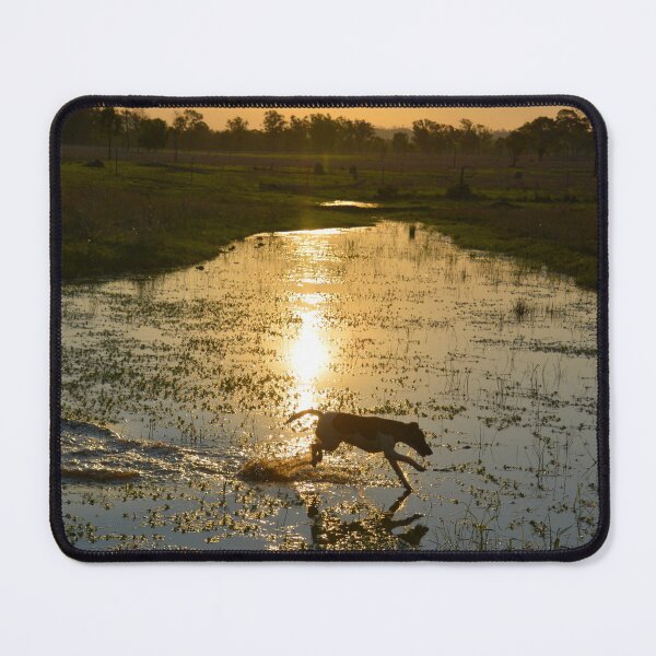 Item preview, END OF THE DAY SWIM FOR SMOOTH HAIRED FOXIE designed and sold by Barbara Jean Photo Art And Design.