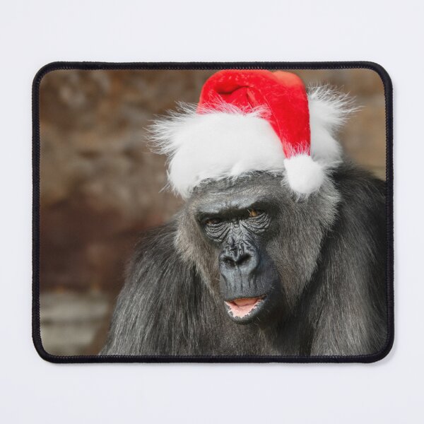 Item preview, Gorilla Biddy in a Festive Christmas Hat designed and sold by rawshutterbug.