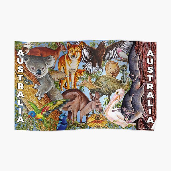 Australian Animals Poster