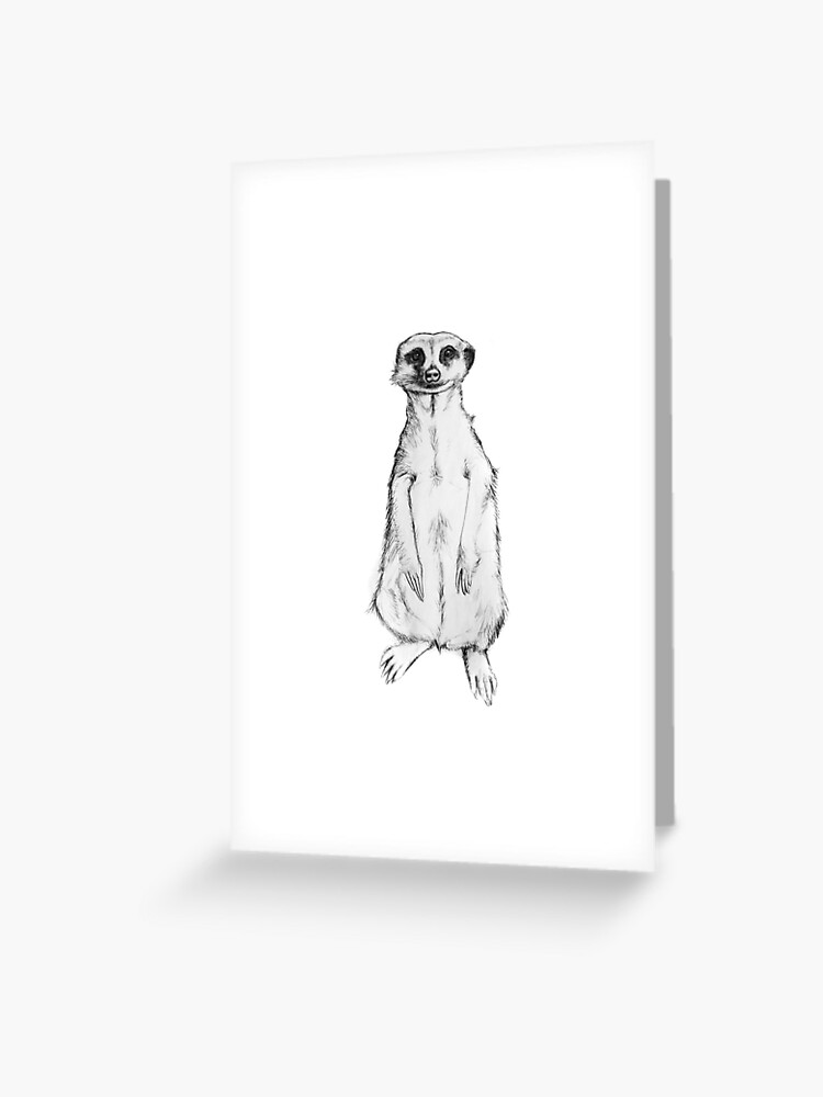 Carte De Vœux Suricate Dessin Crayon Croquis Par Antonpop86 Redbubble