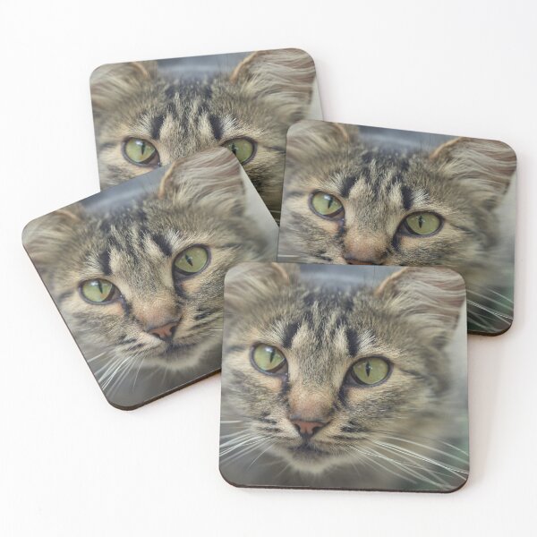 Item preview, Portrait of cute grey cat designed and sold by olena2552.