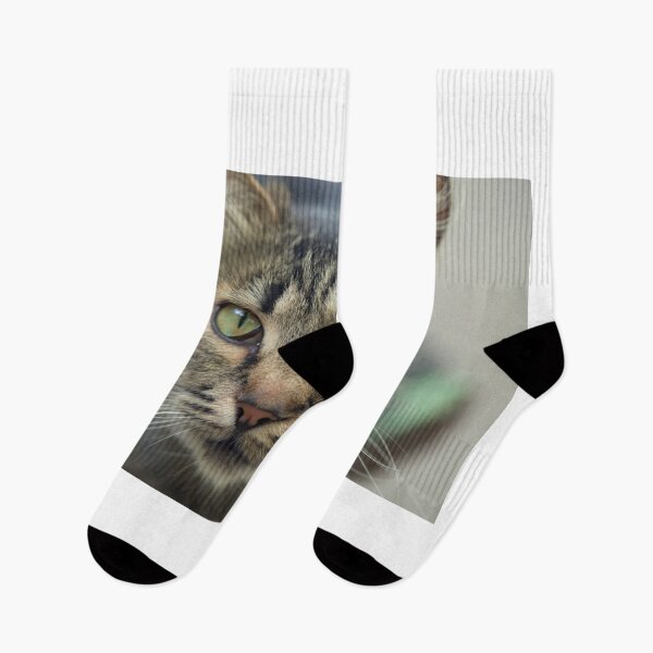 Item preview, Portrait of cute grey cat designed and sold by olena2552.