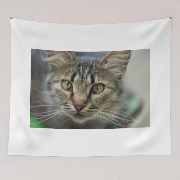 Item preview, Portrait of cute grey cat designed and sold by olena2552.