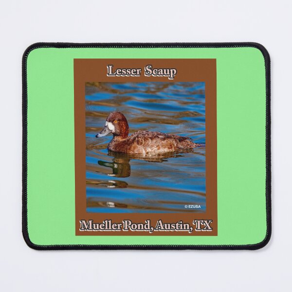 Item preview, Give Someone You Love The Bird: Lesser Scaup, Mueller Pond, Austin, Texas designed and sold by MoreEZUSA-Here.