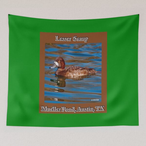 Item preview, Give Someone You Love The Bird: Lesser Scaup, Mueller Pond, Austin, Texas designed and sold by MoreEZUSA-Here.