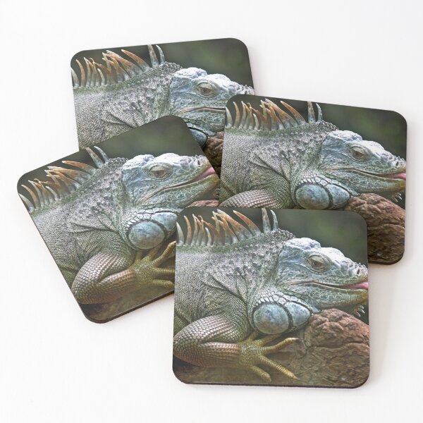 Item preview, Funny Iguana designed and sold by Madcatsanddogs.