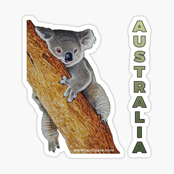 Australian Koala Sticker