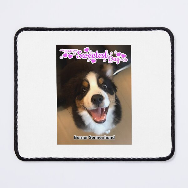 Item preview, Puppy has grown up a bit! Happy Sweetest Day Bernese Mountain Dog designed and sold by Everyday365.