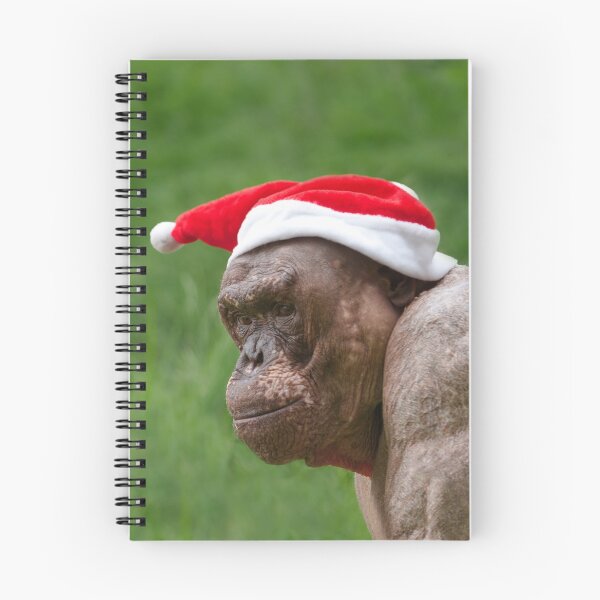 Item preview, Jambo The Hairless Chimp In A Christmas Hat designed and sold by rawshutterbug.