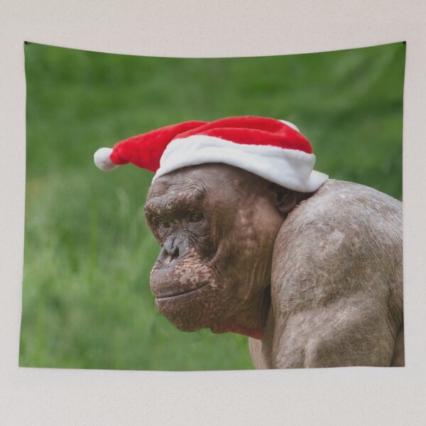 Item preview, Jambo The Hairless Chimp In A Christmas Hat designed and sold by rawshutterbug.