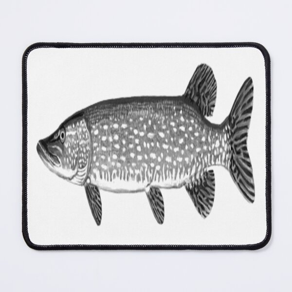 Item preview, northern pike fish is good work. designed and sold by painting23.