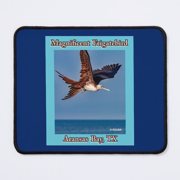 Item preview, For The Bird Lover In You: Magnificent Frigatebird ~ Aransas Bay, Texas designed and sold by MoreEZUSA-Here.