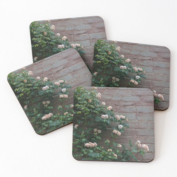 Item preview, Old rose, old wall. Pale pink rose.  designed and sold by LindaCooke.