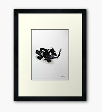 skateboarder Framed Print