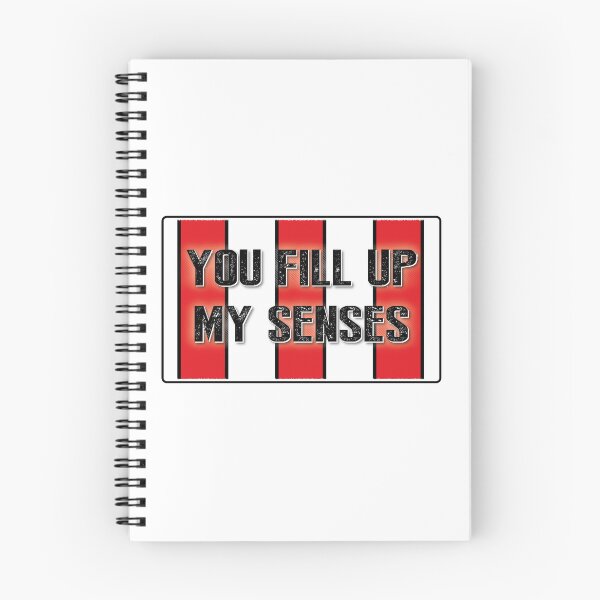Item preview, Sheffield United - Tú llenas mis sentidos - Kit clásico 1993-94 designed and sold by SimonSays831.