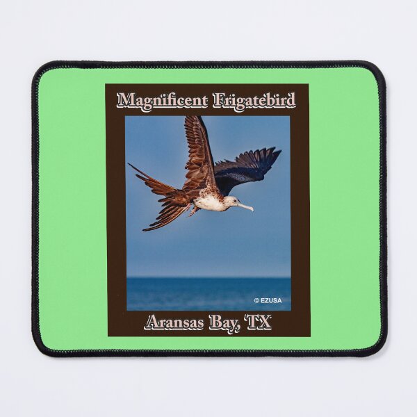 Item preview, The Perfect Gift For A Bird Lover: Magnificent Frigatebird, Aransas Bay, Texas designed and sold by MoreEZUSA-Here.