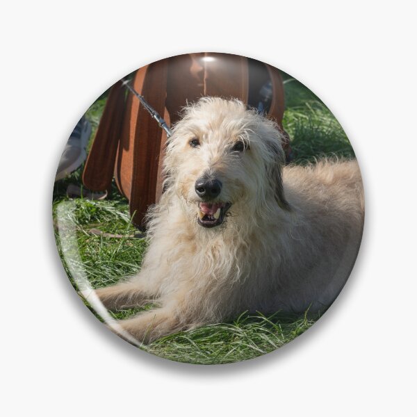 Item preview, Woodside RSPCA dog show, Knighton Park 2023 designed and sold by Woodside-RSPCA.