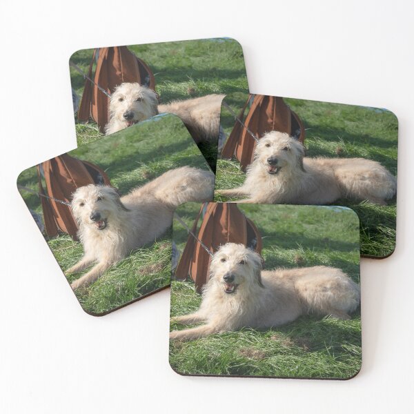 Item preview, Woodside RSPCA dog show, Knighton Park 2023 designed and sold by Woodside-RSPCA.