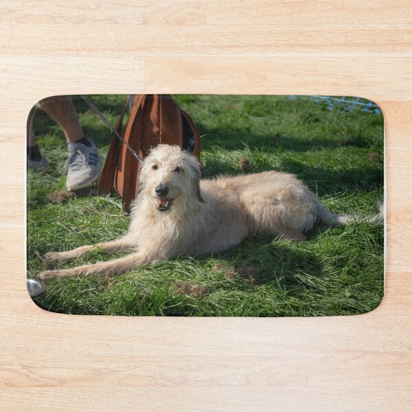 Item preview, Woodside RSPCA dog show, Knighton Park 2023 designed and sold by Woodside-RSPCA.