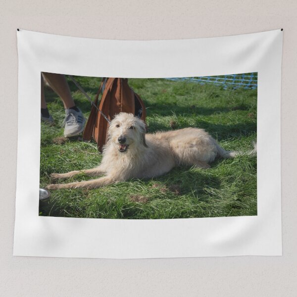 Item preview, Woodside RSPCA dog show, Knighton Park 2023 designed and sold by Woodside-RSPCA.