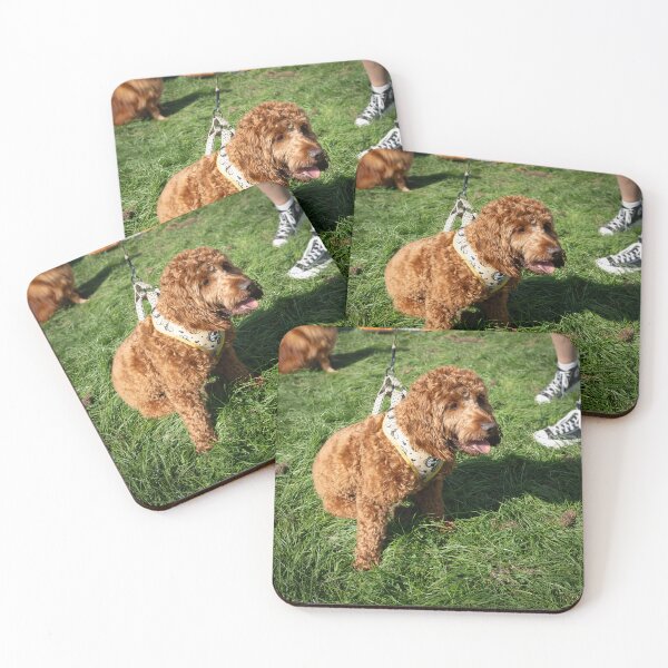 Item preview, Woodside RSPCA dog show, Knighton Park 2023 designed and sold by Woodside-RSPCA.