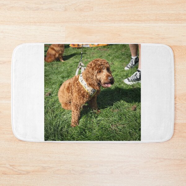 Item preview, Woodside RSPCA dog show, Knighton Park 2023 designed and sold by Woodside-RSPCA.