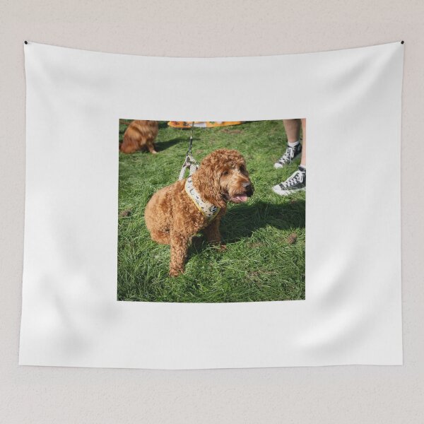 Item preview, Woodside RSPCA dog show, Knighton Park 2023 designed and sold by Woodside-RSPCA.