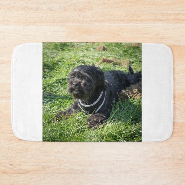 Item preview, Woodside RSPCA dog show, Knighton Park 2023 designed and sold by Woodside-RSPCA.