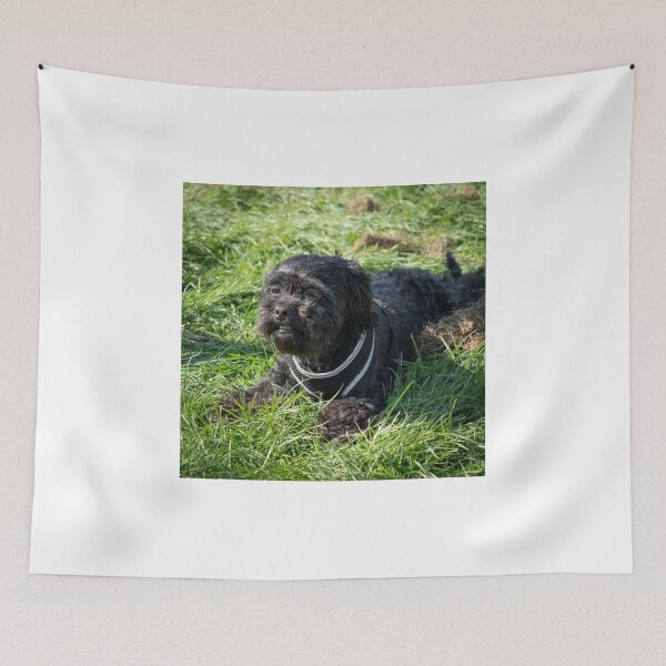 Item preview, Woodside RSPCA dog show, Knighton Park 2023 designed and sold by Woodside-RSPCA.
