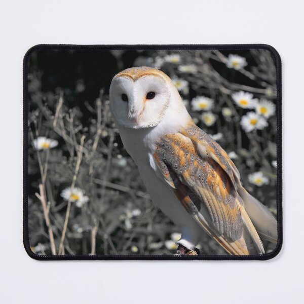 Item preview, Owl Portrait designed and sold by PatternTitan.