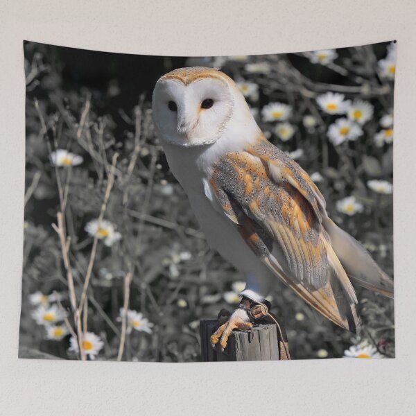 Item preview, Owl Portrait designed and sold by PatternTitan.