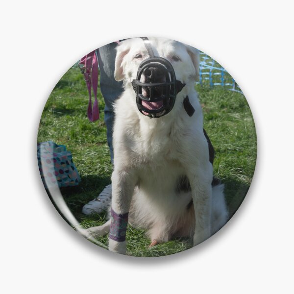 Item preview, Woodside RSPCA dog show, Knighton Park 2023 designed and sold by Woodside-RSPCA.