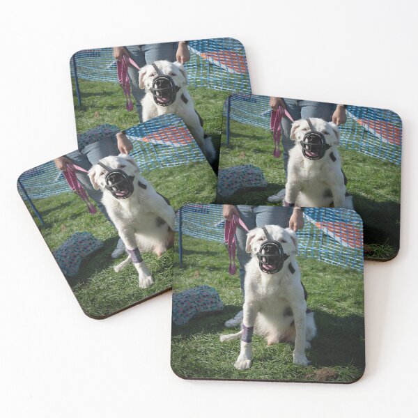 Item preview, Woodside RSPCA dog show, Knighton Park 2023 designed and sold by Woodside-RSPCA.