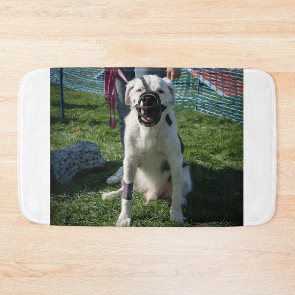 Item preview, Woodside RSPCA dog show, Knighton Park 2023 designed and sold by Woodside-RSPCA.