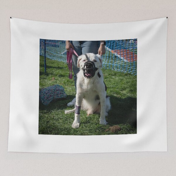 Item preview, Woodside RSPCA dog show, Knighton Park 2023 designed and sold by Woodside-RSPCA.