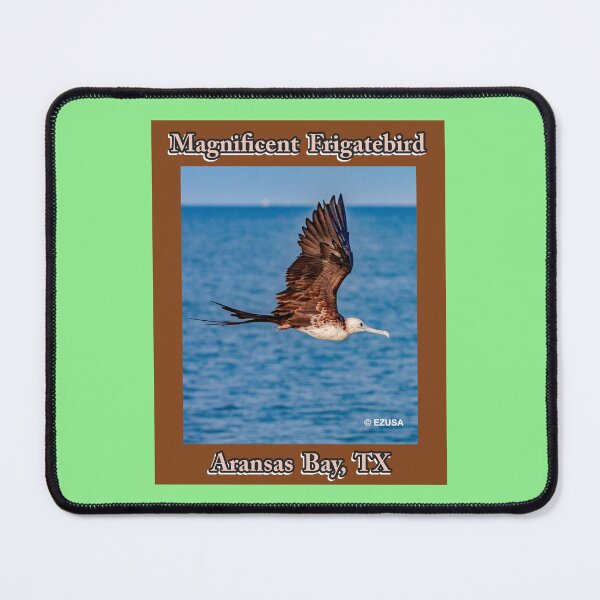 Item preview, For The Bird Lover In You: Magnificent Frigatebird, Aransas Bay, Texas designed and sold by MoreEZUSA-Here.