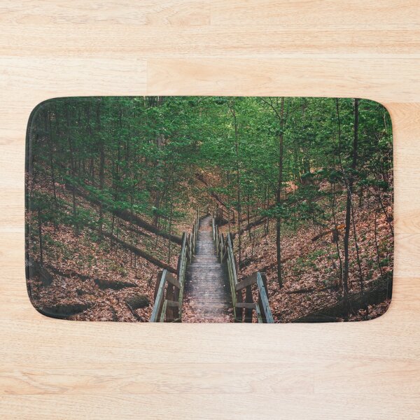 Item preview, Boardwalk stairs down into the wooded part of a park in Michigan designed and sold by Michael Deemer.
